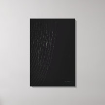 White Web with Black Canvas Print