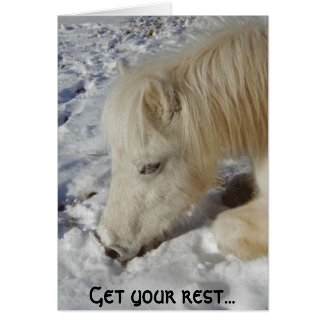 White Welsh Pony Asleep (Front)