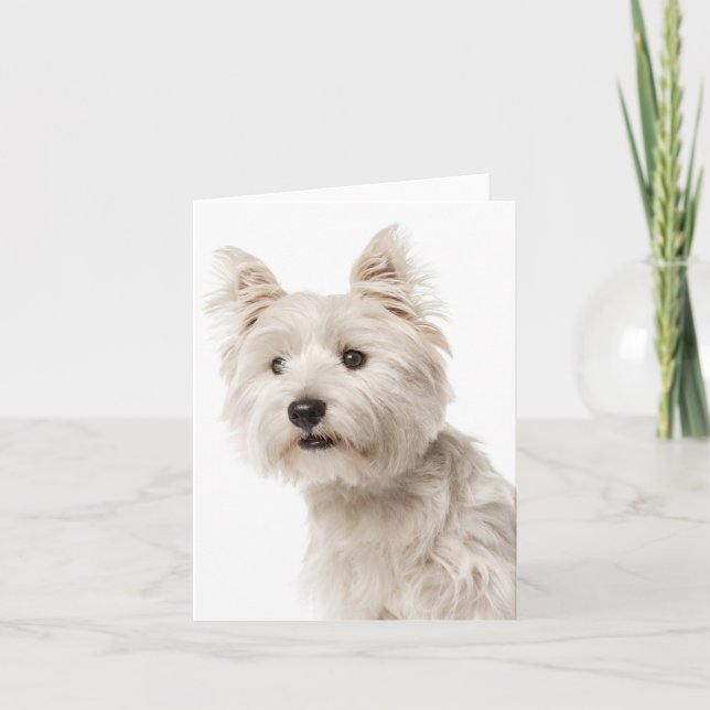 White West Highland Terrier Puppy Dog Hello Love Card (Front)