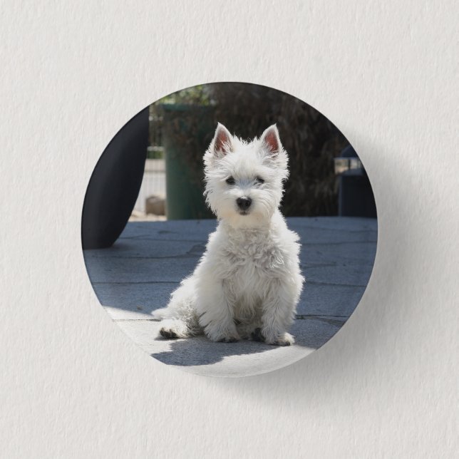 White West Highland Terrier Sitting on Sidewalk 3 Cm Round Badge (Front)
