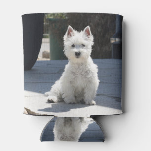 White West Highland Terrier Sitting on Sidewalk Can Cooler