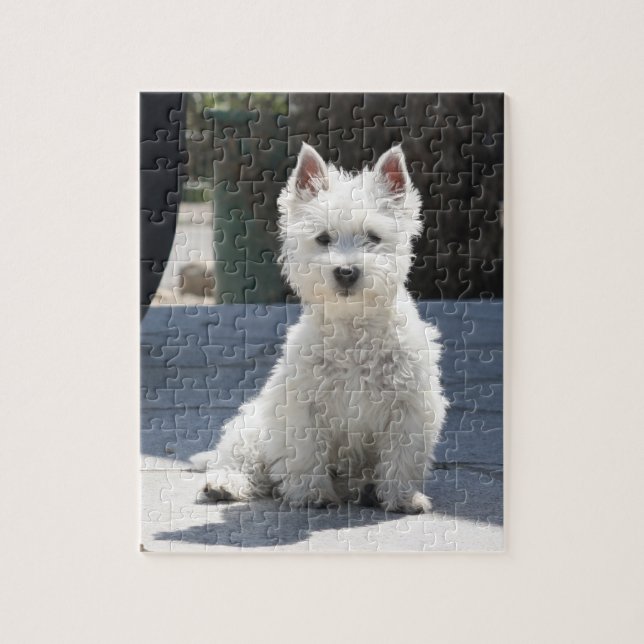 White West Highland Terrier Sitting on Sidewalk Jigsaw Puzzle (Vertical)