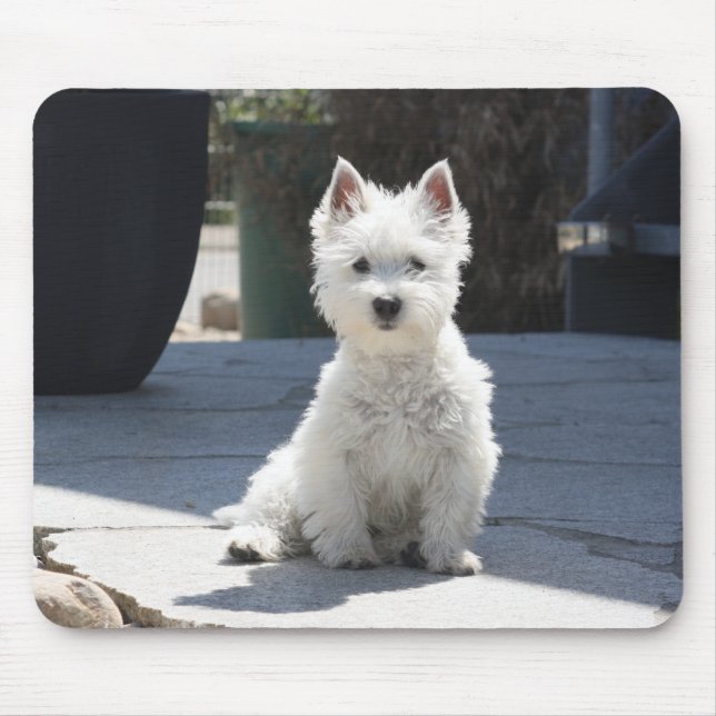 White West Highland Terrier Sitting on Sidewalk Mouse Pad (Front)