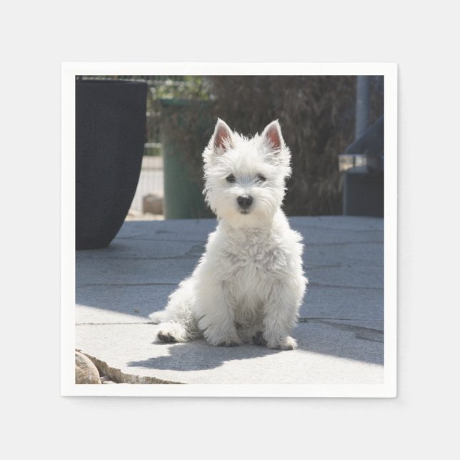 White West Highland Terrier Sitting on Sidewalk Napkin (Front)