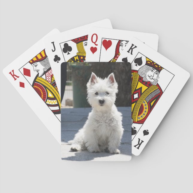 White West Highland Terrier Sitting on Sidewalk Playing Cards (Back)