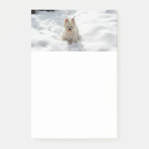 White Westie Dog in Snow Notes