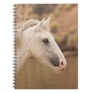 White Wild Horse Notebook