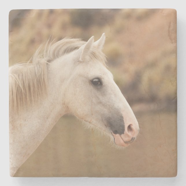 White wild horse stone coaster (Front)