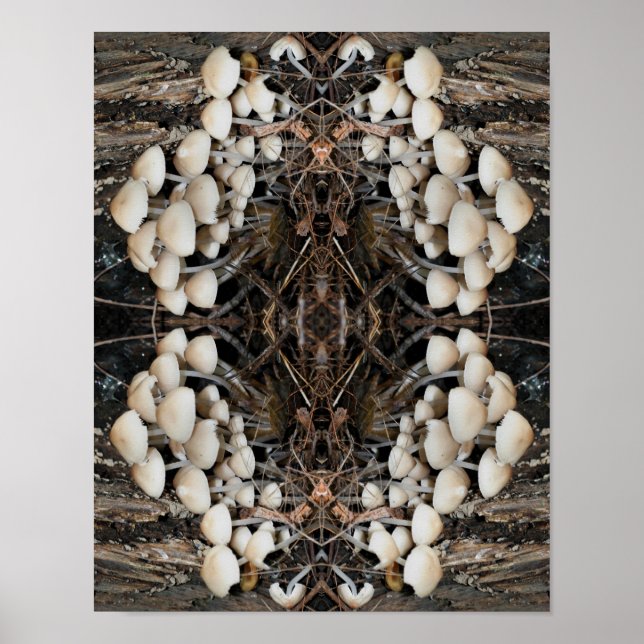 White Wild Mushrooms Abstract Nature  Poster (Front)