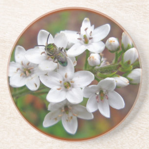 White Wildflower & Bee Fly Coaster