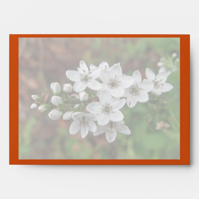 White Wildflower & Bee Fly Envelopes (Front)
