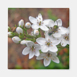 White Wildflower & Bee Fly Magnet