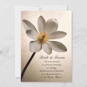 White Wildflower Marriage / Elopement Announcement