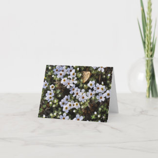White Wildflower Notecard