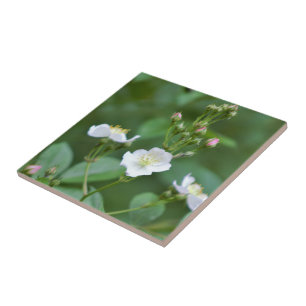 White Wildflowers Ceramic Tile