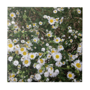White Wildflowers Ceramic Tile