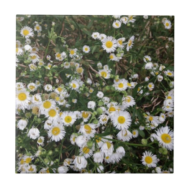 White Wildflowers Ceramic Tile (Front)