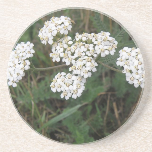 White Wildflowers Coasters (Front)