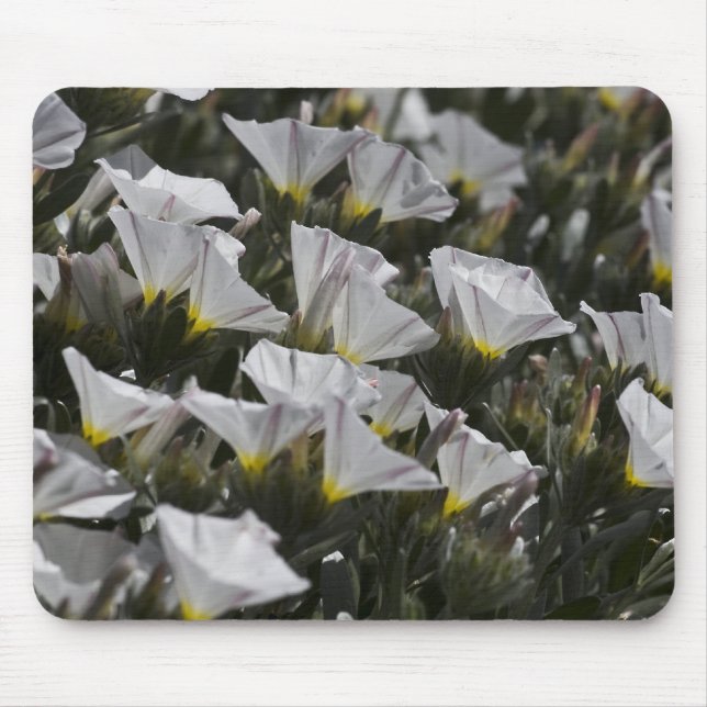 white wildflowers mouse pad (Front)