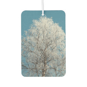 White Willow Tree Against Cloudless Blue Sky Car Air Freshener