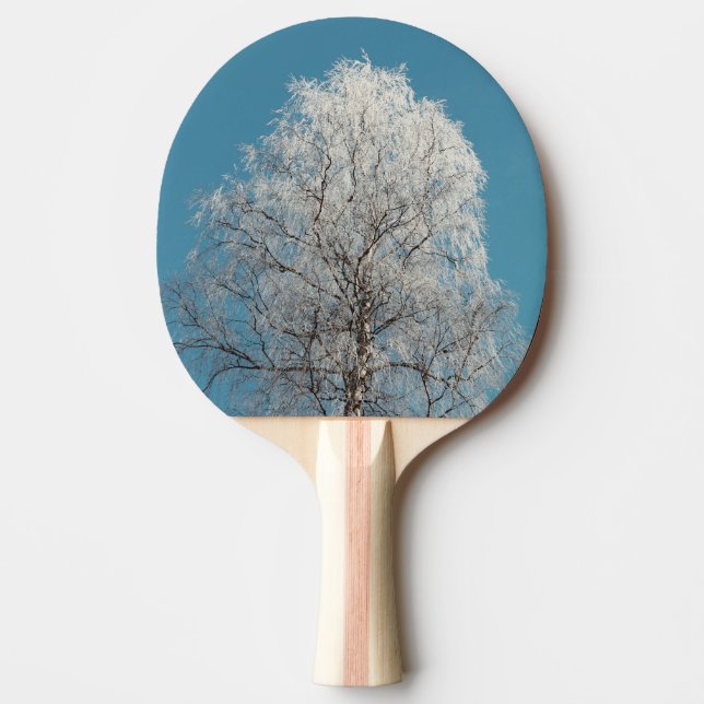  White Willow Tree Against Cloudless Blue Sky Ping Pong Paddle (Front)