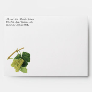 White Wine Grapes on the Vine, Vintage Food Fruit Envelopes