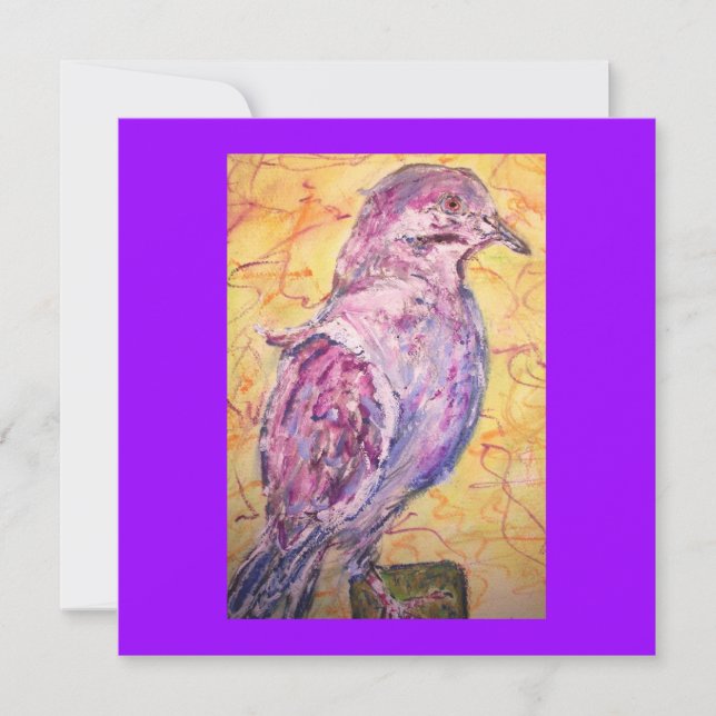 White-winged Dove art (Front)