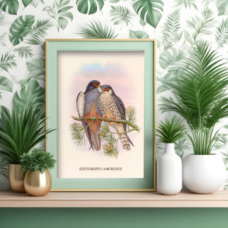 White-winged Red-footed Kestrel Poster