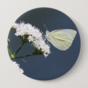 White Winged Wonder Butterfly Pin