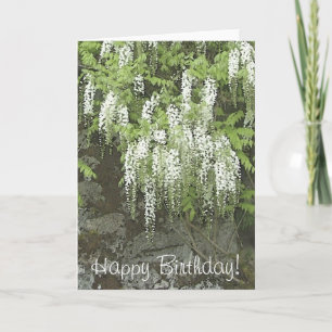 White wisteria birthday card