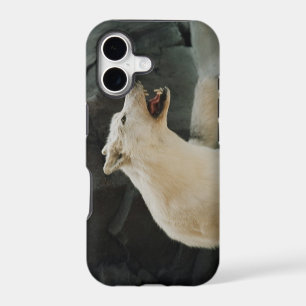 White Wolf
