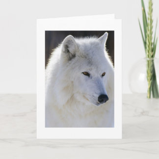 White Wolf Card
