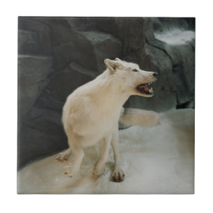 White Wolf Ceramic Tile