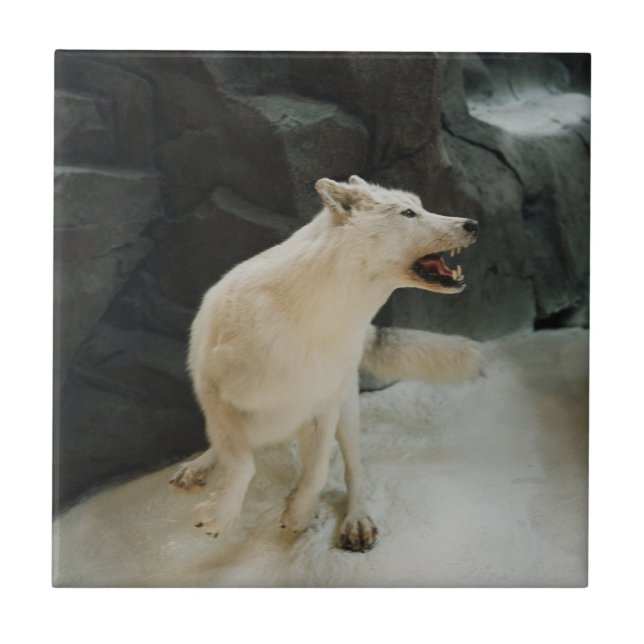 White Wolf Ceramic Tile (Front)