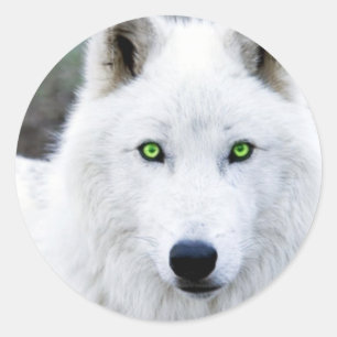White Wolf Classic Round Sticker