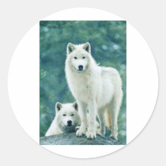 WHITE WOLF CLASSIC ROUND STICKER