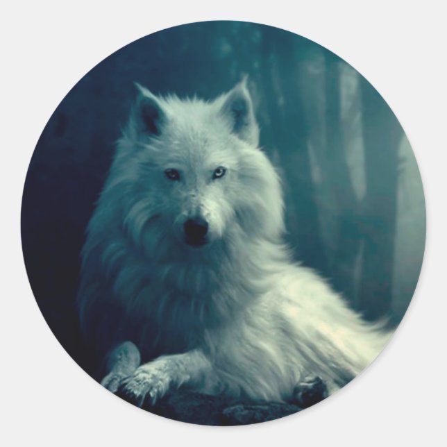 White wolf in the night forest classic round sticker (Front)