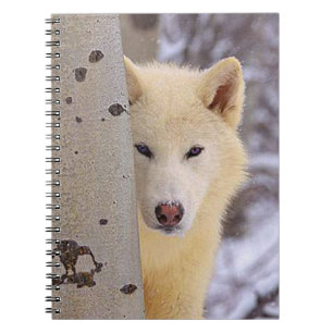 White Wolf Notebook