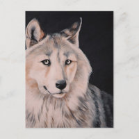 White Wolf painting by DiDi
