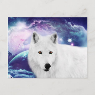 White wolf postcard