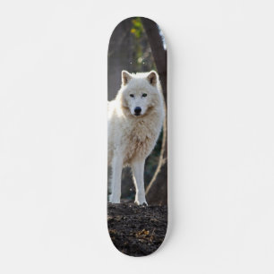 White Wolf Skate In The Forest Skateboard