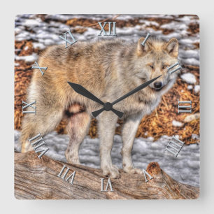 White Wolf, Snow & Log Wildlife Art Clock
