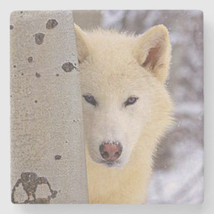 White Wolf Stone Coaster