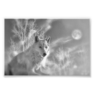 WHITE WOLF WHITE FOREST PHOTO PRINT
