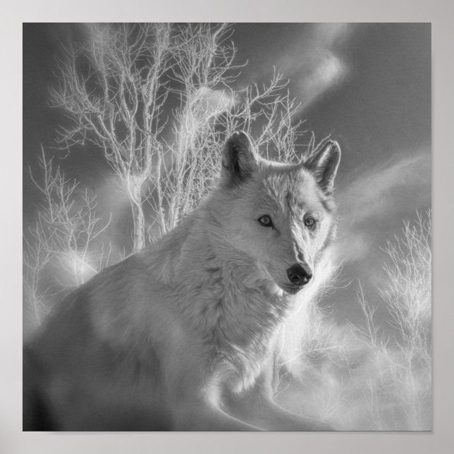 WHITE WOLF WHITE FOREST POSTER (Front)