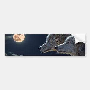 White Wolves in the Full Moon Bumper Sticker