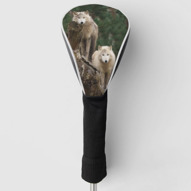 White Wolves' Realm Golf Head Cover (Front)