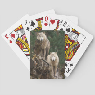 White Wolves' Realm Playing Cards