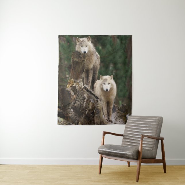 White Wolves' Realm Tapestry (In Situ)