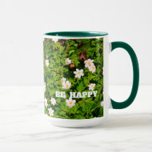White Wood Anemone Spring Flowers Be Happy